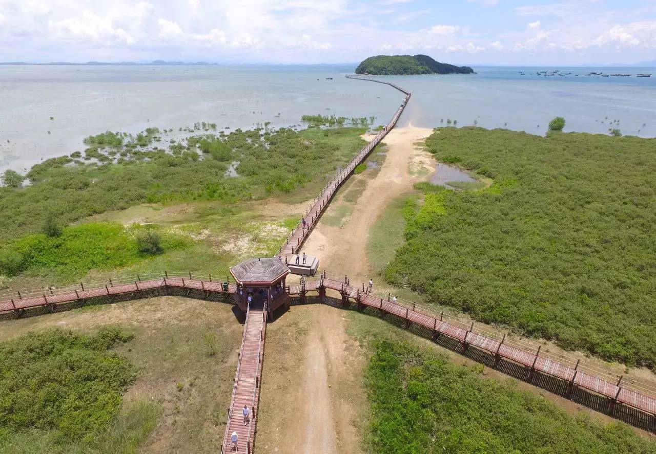 阳江海陵岛沙滩烧烤篝火晚会红树林海边酒店半自助2天游